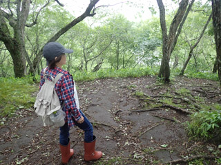 tour_walk2025-7